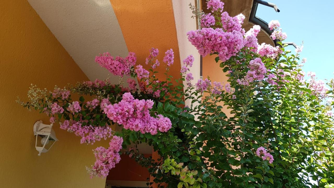 B&B Villa Giulia Desenzano del Garda Extérieur photo